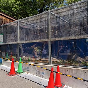 Japanese rock ptarmigan exhibit