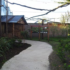 Linnaeus' two-toed sloth, Golden lion tamarin and White-faced saki outdoor walk-through exhibit, 2022-10-09