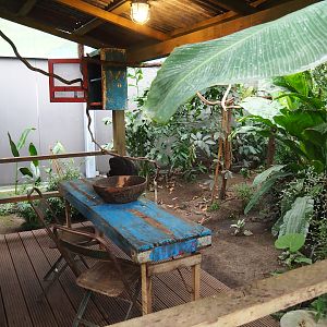 Monkey feeding area next to terrarium area, 2022-10-09