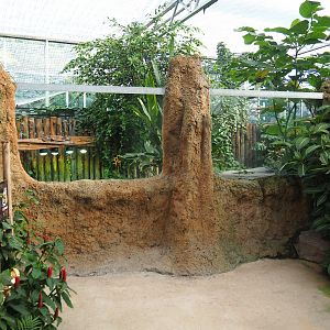 Spectacled caiman exhibit viewing area, 2022-10-09