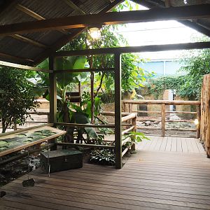 Terrarium area, 2022-10-09