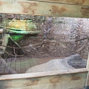 Boa constrictor terrarium, 2022-10-09