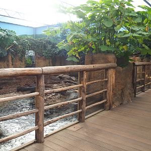 Capybara/Giant anteater indoor exhibit viewing area, 2022-10-09