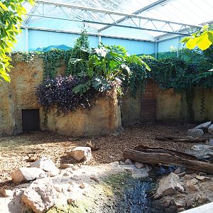 Capybara/Giant anteater indoor exhibit, 2022-10-09