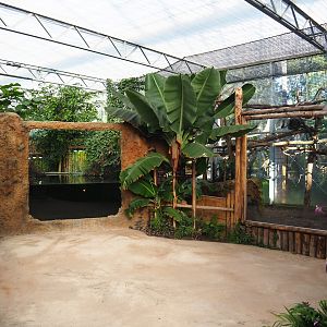 Spectacled caiman/Red-bellied piranha and Red titi/Southern tamandua/Azara's agouti exhibit viewing areas, 2022-10-09