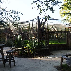 Red titi/Southern tamandua/Azara's agouti outdoor exhibit, 2022-10-09