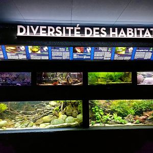 Diverse Habitats