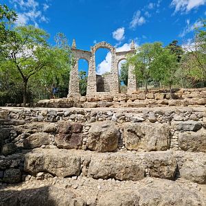 Eld's Deer/ Chital exhibit