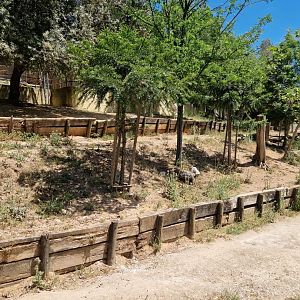 Addax/ Roan antelope/ Sable antelope exhibits