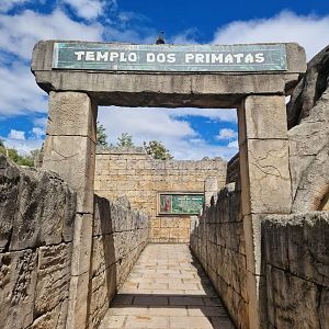 Primate Temple