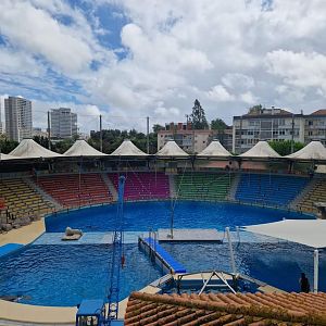 Dolphinarium