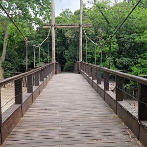 White Rhino bridge separate the two exhibits