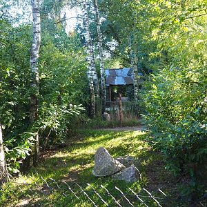 Darwin's rhea and Giant anteater exhibit, 2022-10-09
