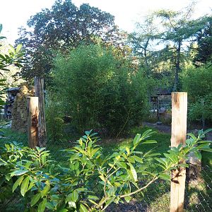 Darwin's rhea and Giant anteater exhibit, 2022-10-09