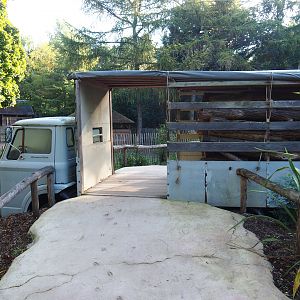 Walkway through logging truck prop, 2022-10-09