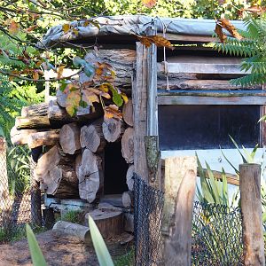 Animal shelter inside logging truck prop, 2022-10-09