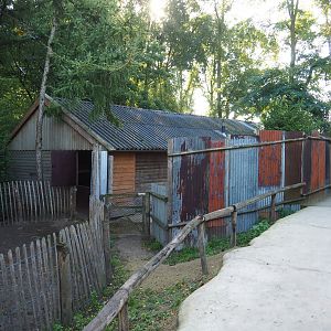 Goat, anteater, rhea and bush dog barn and bridge above anteater and rhea passageway, 2022-10-09