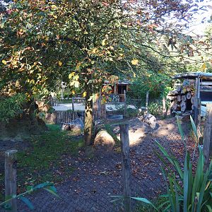Darwin's rhea and giant anteater paddock, 2022-10-09