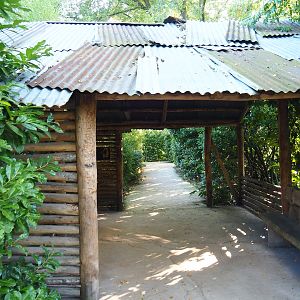 Second giant anteater indoor exhibit viewing area, 2022-10-09