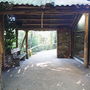 Second giant anteater indoor exhibit viewing area, 2022-10-09