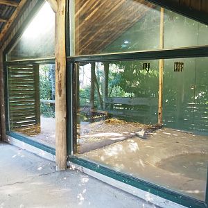 Second giant anteater indoor exhibit, 2022-10-09