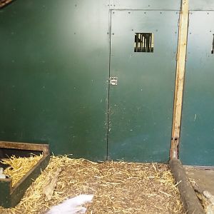 Second giant anteater indoor exhibit, 2022-10-09