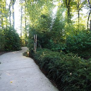 Bush dog viewing area, 2022-10-09