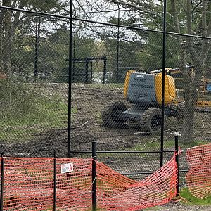 Tiger Expansion Exhibit