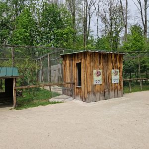 Southern Oncilla / Northern Oncilla corner