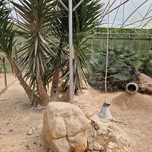 Sand Cat Glass House