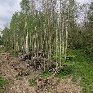 Malayan Tiger exhibit