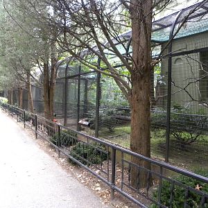 Row of bird cages