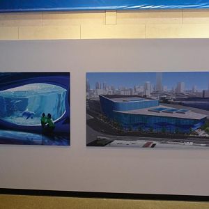 Upcoming Dolphin Exhibit