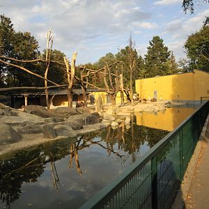 New Hamadryas Baboon enclosure at Augsburg zoo