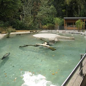 Harbor Seal encolusre at Augsburg zoo