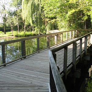 North America - Moose Exhibit