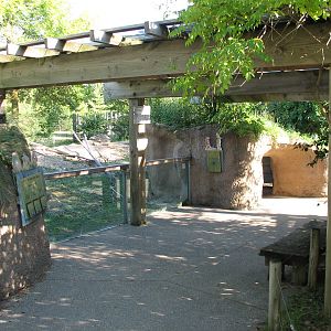 North America - Prairie Dog Exhibit