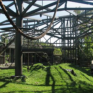 African Forest - Gorilla Outdoor Exhibit