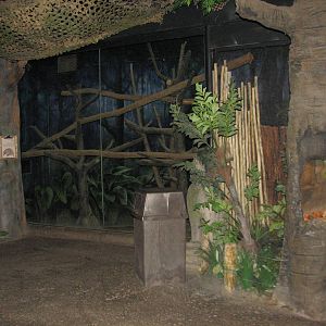 Voyage to Australia and the Islands - Echidna Exhibit
