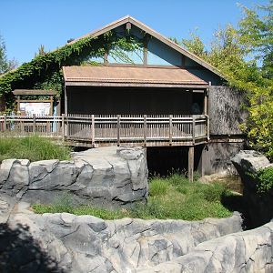 Voyage to Australia and the Islands - Komodo Dragon Exhibit