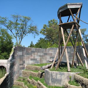 Voyage to Australia and the Islands - Orangutan Exhibit