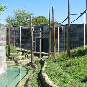 Voyage to Australia and the Islands - Orangutan Exhibit