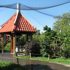 Asia Quest - Pheasant Aviary