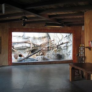 Asia Quest - Pallas Cat Exhibit