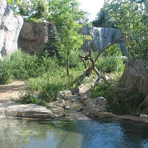 Asia Quest - Tiger Exhibit