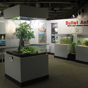 World of the Insect - Exhibits