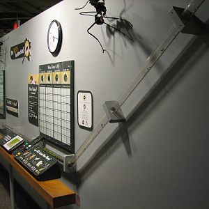 World of the Insect - Leafcutter Ant Exhibit Tube