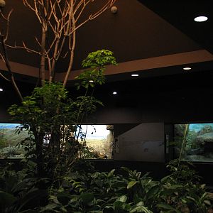 Cat House - Interior