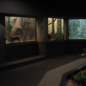 Cat House - Exhibits