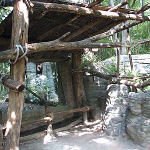 Jungle Trails - Lemur Exhibit Viewing Area